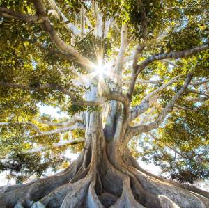 jeremy-bishop-EwKXn5CapA4-unsplash (2)