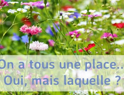 On a tous une place… oui mais laquelle ?